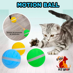 Motion Ball